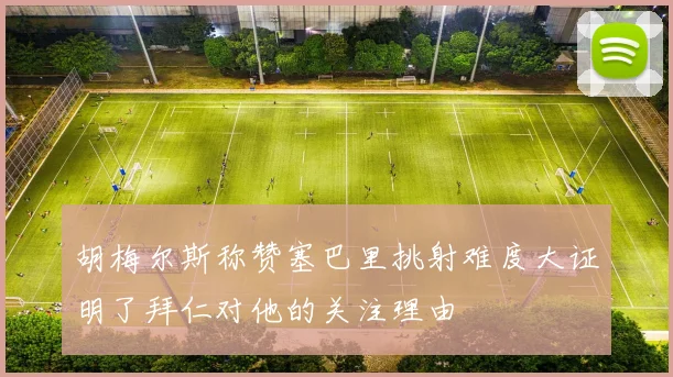 胡梅尔斯称赞塞巴里挑射难度大证明了拜仁对他的关注理由
